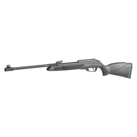 Gamo Black Bear IGT air rifle with open sights, side view