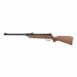 Gamo Junior Delta Air Rifle